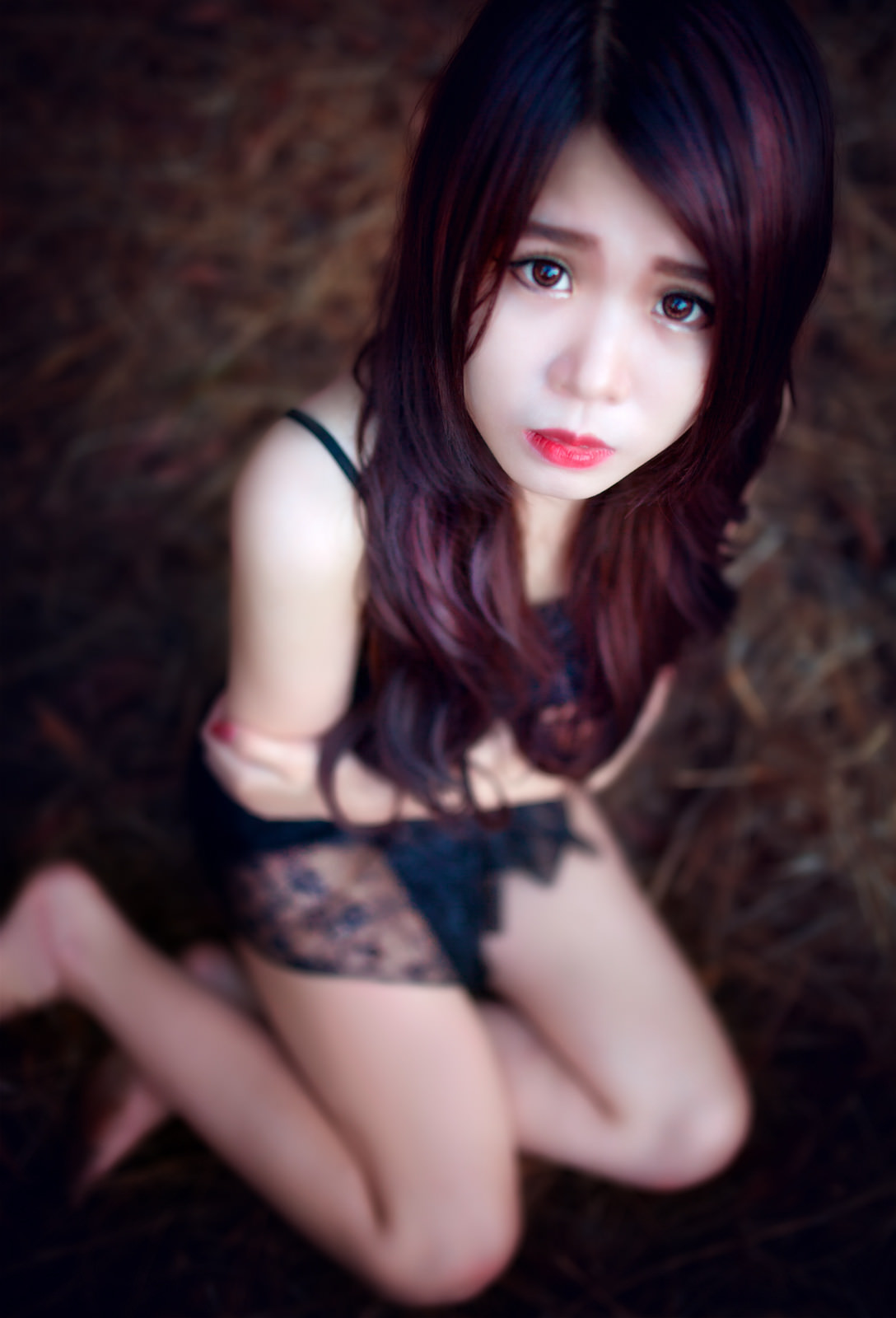 天使与龙的轮舞全集免费完整版